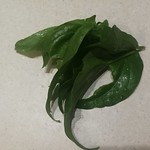 spinach Santana