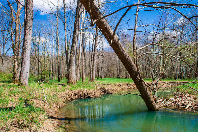 Hoosier National Forest - Knobstone/Brown County D Trail - April 15, 2019