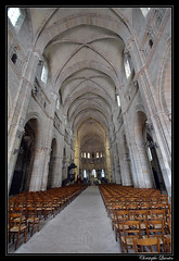 Langres - Cathédrale Saint Mammes