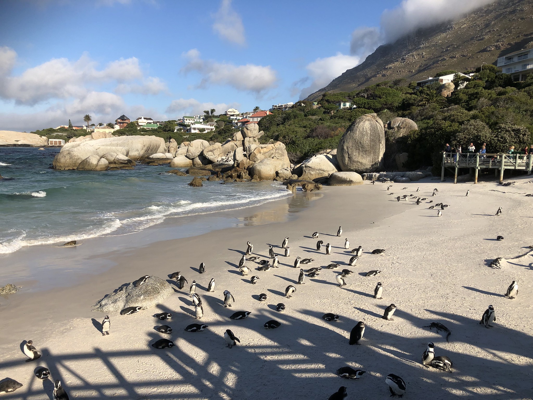Two Oceans Marathon | Kaapstad Zuid Afrika 2019
