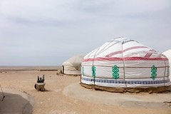 Karakalpakstan, pustynia Qyzylqum