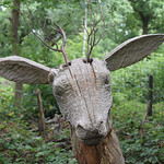Oh Deer by Nina Harrup