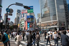Najbardziej zatłoczone skrzyżowanie w Japonii - Shibuya