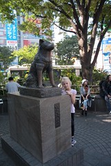 Shibuya, pomnik psa Hachinko