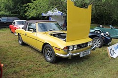 Chipperfield Common Concours 04Jun19