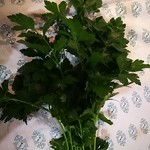 flat leaf parsley