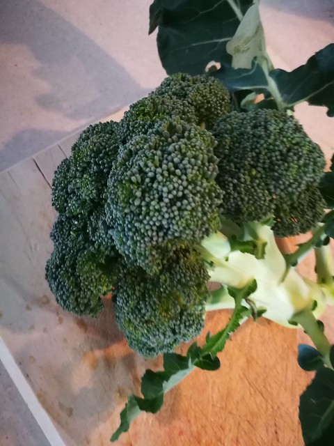 delicious broccoli