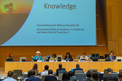 Intergovernmental Committee on Intellectual Property and Genetic Resources, Traditional Knowledge and Folklore