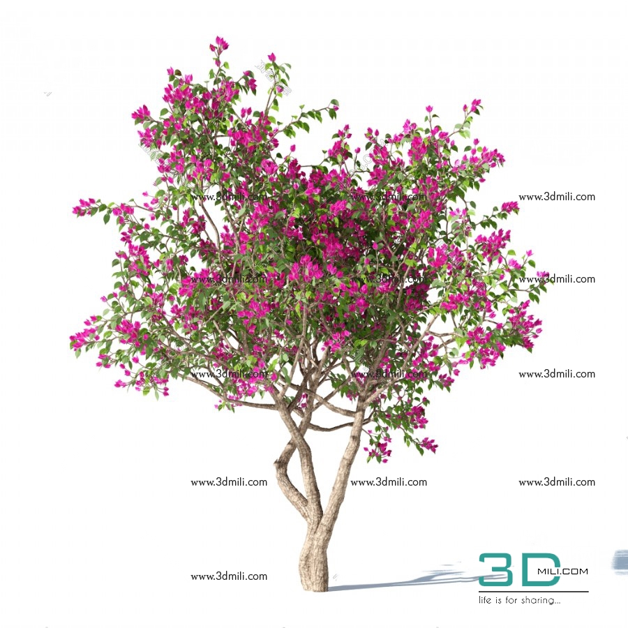 68 Paper Flower Tree 3dsmax File Free Download 3dmili 2020