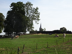 Esnes Église Saint-Pierre  (4) - Photo of Niergnies