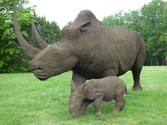 Grotte de Villars - woolly rhino