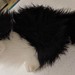Ikea cat plush - black & white long hair