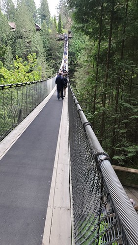 The Capilano Suspension Bridge in Vancouver, BC