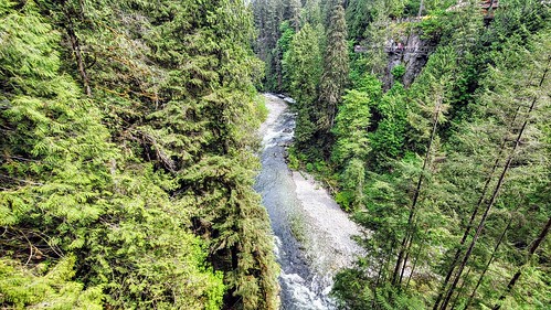 View from the Capilano Suspension Bridge in Vancouver, BC