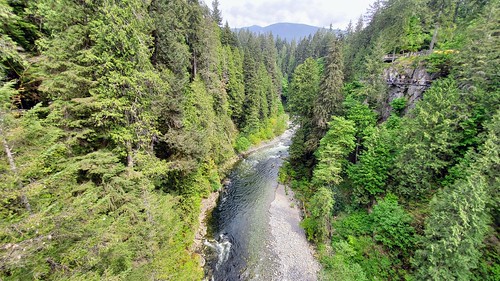 View from the Capilano Suspension Bridge in Vancouver, BC