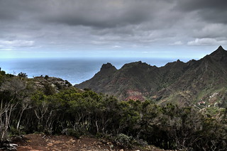 Tenerife Landscape