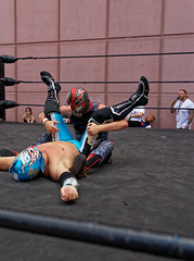 2019-07-07_14-00-38_ILCE-6500_DSC05788_DxO