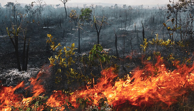 Fumaça de incêndios criminosos na Amazônia se espalha por todo o continente