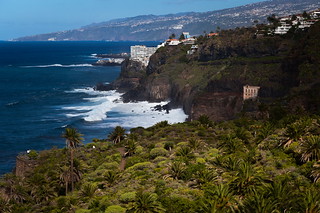 Santa Cruz Landscape