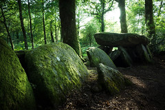 Dolmen de la Loge aux Loups, Elven, Bretagne, France - Photo of Sulniac