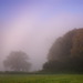 Foggy morning in the Wye Valley