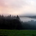 Foggy morning in the Wye Valley