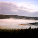 Wye Valley in fog