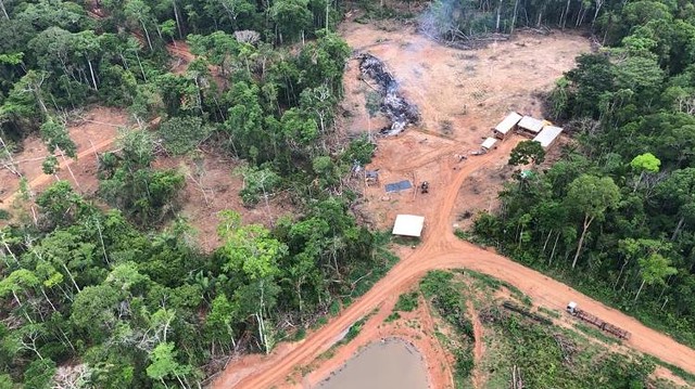 Investigação do MPF indica que desmatamento e queimadas envolvem crime organizado