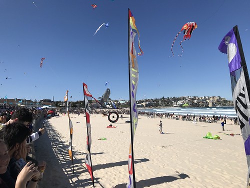 Festival of kites