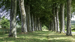 Chemin vert 2 - Photo of Saint-Hilaire-de-Briouze