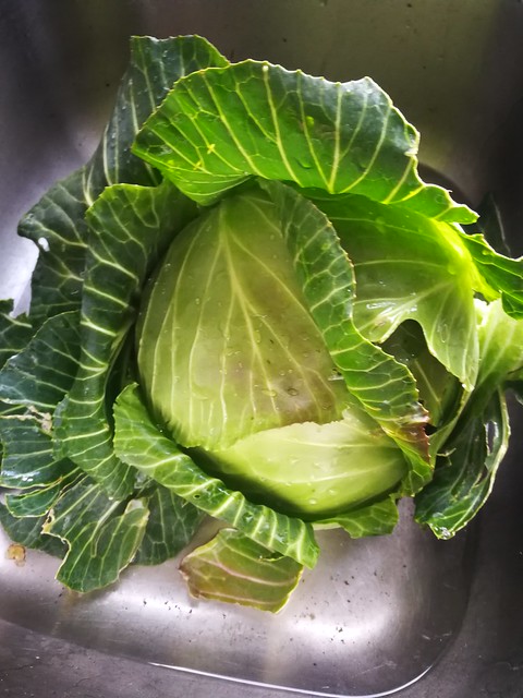 Image of cabbage by Brooke