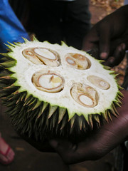 Słynny durian