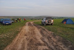 Na mołdawskim pastwisku