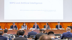 WIPO Conversation on IP and AI Conference: IPO Administration Panel - Photo of Monnetier-Mornex