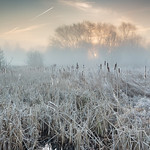 Winter Sunrise Panshanger by Steve Baldwin
