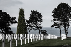 Normandy American Cemetery and Memorial - Photo of Bricqueville