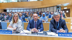Delegates at the Opening of the WIPO Assemblies 2019 - Photo of Vétraz-Monthoux