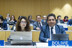 Delegates at the Opening of the WIPO Assemblies 2019 - Photo of Juvigny