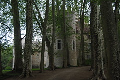 Château Guillaume (Château de Falaise)