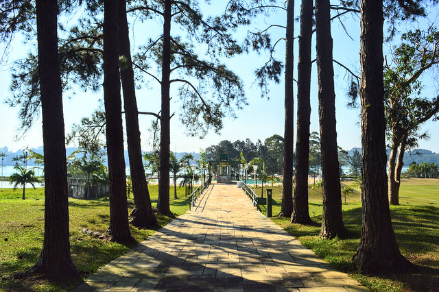 Clube de campo se prepara para o verão com piscina e salão de jogos  reformados – Palmeiras