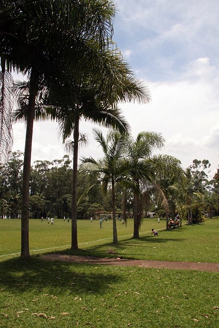 Clube de campo se prepara para o verão com piscina e salão de jogos  reformados – Palmeiras