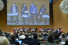 Conference on Copyright Limitations and Exceptions: Panel on Libraries