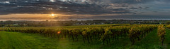 October sunset - Photo of Jarnac-Champagne