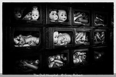 Group A1 4th Place Robert Gray, The Doll Hospital - Section 1 Open DPI