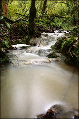 Un ruisseau - Photo of Lestelle-Bétharram