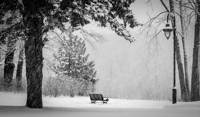 Solitude hivernale