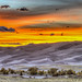 01 Sunset at the Dunes © Frank Zurey - 2nd Place Image from Last Conference
