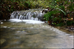 Ruisseau - Photo of Igon