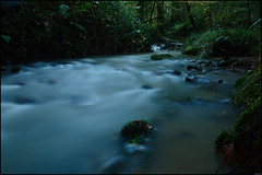 Ruisseau - Photo of Igon