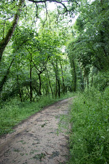 Kerdu River Trail
